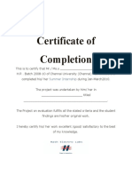 Certificate of Completion: Summer Internship