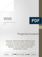 PPT1 Wan