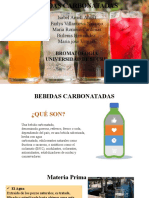 BEBIDAS CARBONATADAS, Seminario