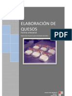 Elaboracion Del Queso 2