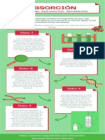 Infografía de Absorción