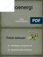 Bio Energi