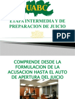 Etapa Intermedia y de Preparacion de Juicio