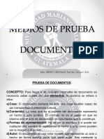 Medio de Prueba de Documentos 2021