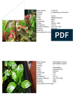 235 Fichas de Plantas Acuáticas-2