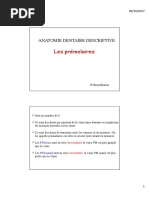 les premolaires