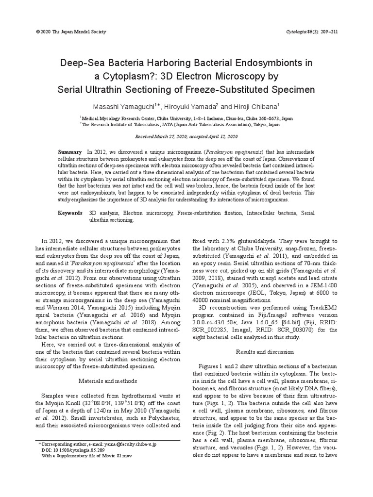 DeepSea Bacteria Harboring Bacterial Endosymbionts in A Cytoplasm 3D