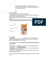 Ubique en Su Lugar de Trabajo Los Siguientes Alimentos y Dibújelos en Los Cuadros Correspondientes