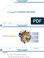 3G Strategy and Inter-Working