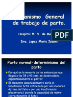 Mecanismo General de Trabajo de Parto1