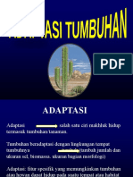 7-Adaptasi Tumbuhan