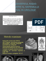 dokumen.tips_urologie-in-imagistica