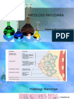 Praktikum Pa. 5.patologi Payudara