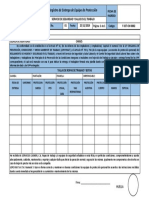 Constancia de EPP GS-0002