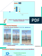 Comparação entre difusão simples e facilitada