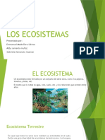 Los Ecosistemas