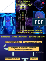 Sistema Endocrino 1