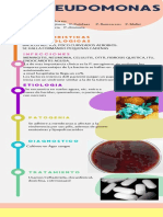 Infografias Pseudomonas