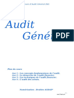 Audit General