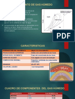 Yacimiento de Gas Húmedo....