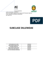 Descripcion Subclase Dillenidae