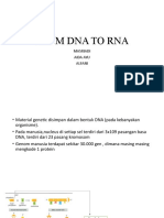 DNA ke RNA