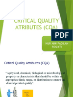 Critical Quality Atributes (Cqa) : Daipadli Nur Aini Fadilah Rosiati