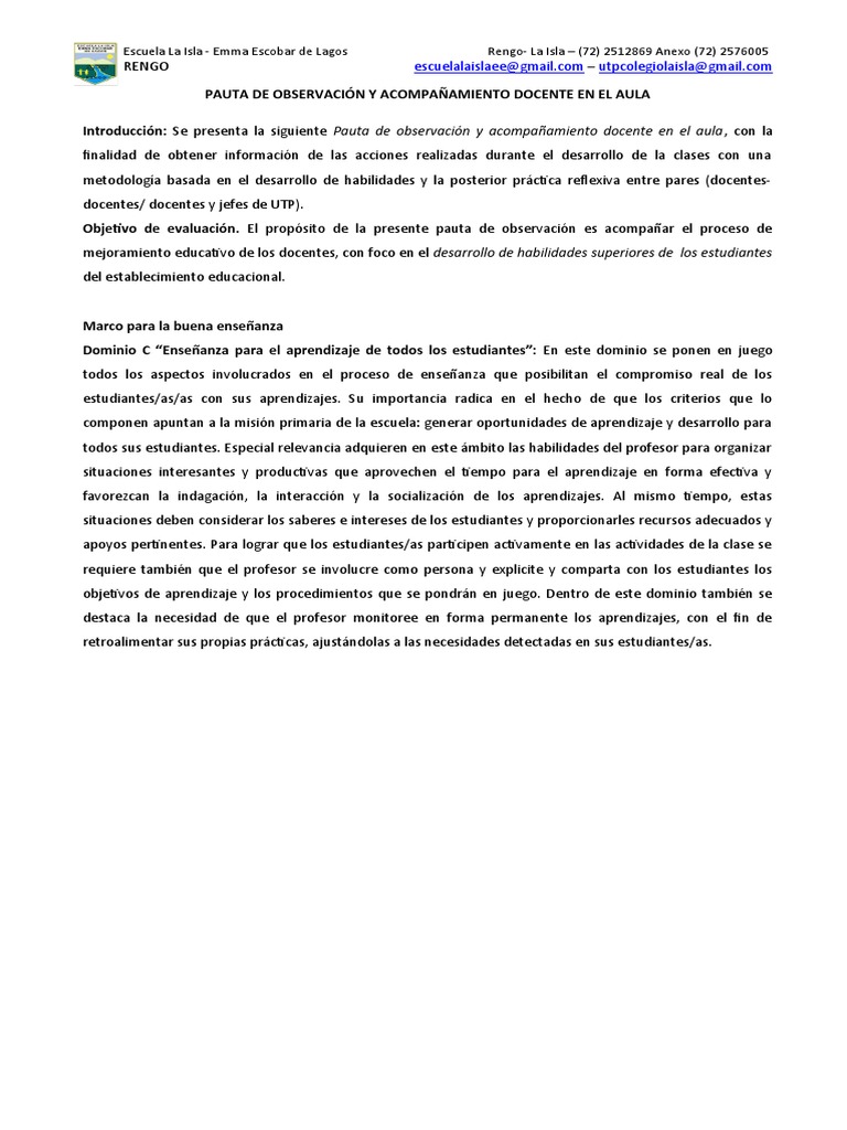Pauta de Acompañamiento Docente | PDF | Maestros | Aprendizaje