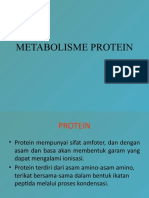 Metabolisme Protein