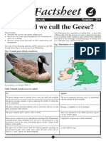 Bio Factsheet 299 Should We Cull The Geese