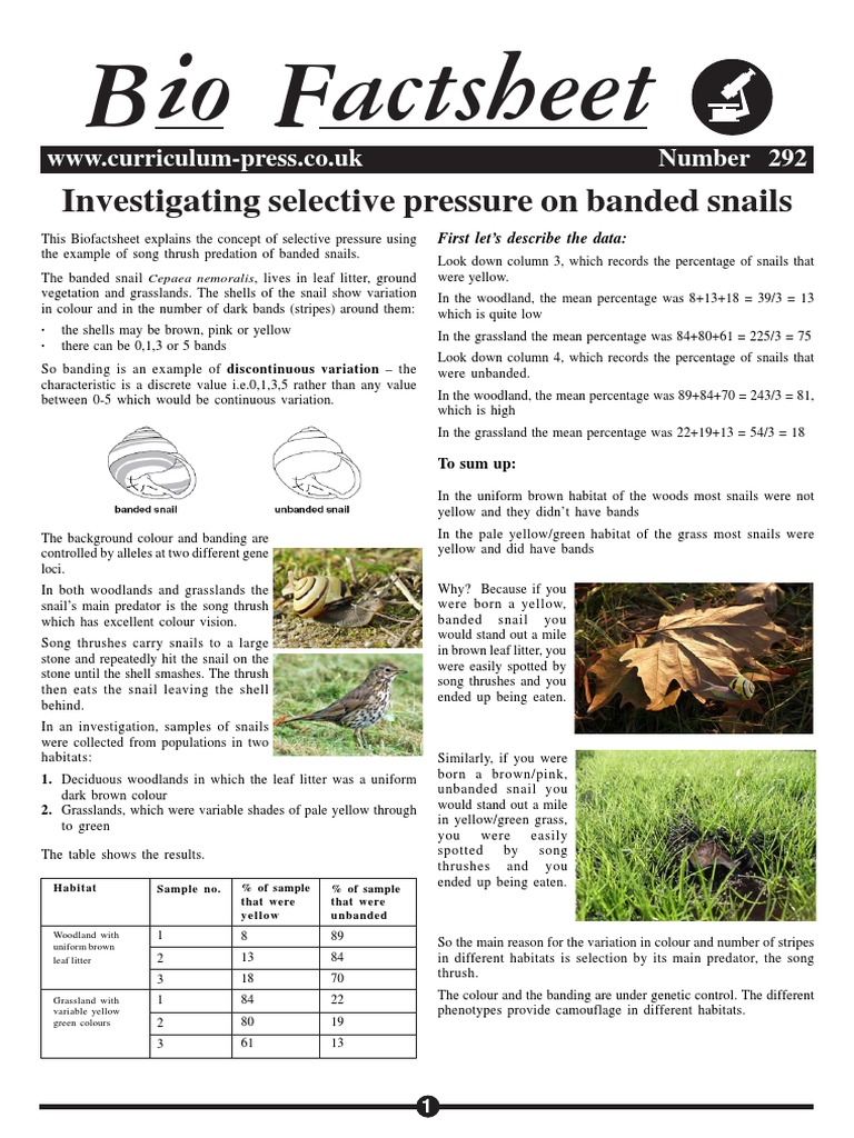 292 Banded Snails PDF Predation