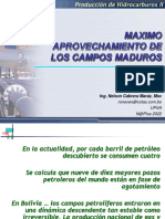 P2C2 - 03 - Maximo Aprovechamiento de Campos Maduros