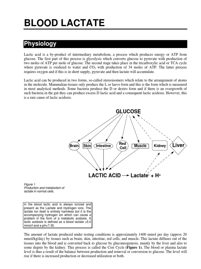 Lactate | PDF