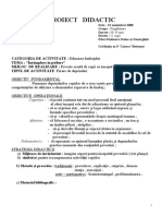 Doc1proiectdidactic Pov 1 .Creat