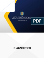 Diagnostico Analisis Interno y Externo - Auditorias