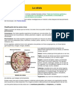 La célula PDF