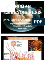 Human Embryo Genesis