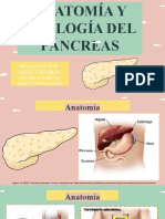 Pancreas Endocrino