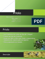 Presentation PDF