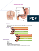Hemorragia Digestiva Alta PAE