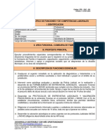 Manual de funciones psicólogo Comisaría Familia