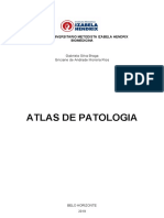 Atlas Patologia Parte 2