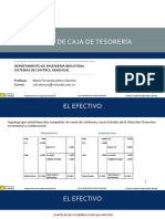 SisConGer 202210 - Flujo de Caja de Tesorería