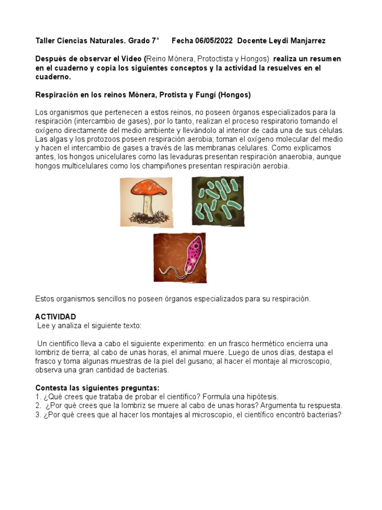 Respiración en Hongos y Protistas | PDF | Ciencia y matemáticas