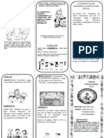 Triptico Educacion Inicial Finalb