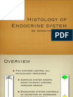 Endocrine Histology