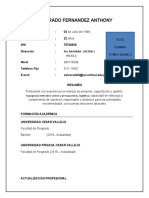 Curriculum Vitae - Documentado