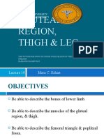 Gluteal Region, Thigh & Leg: Lecture 10 Idara C. Eshiet
