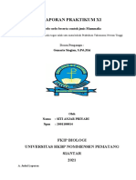 THT 11 Ordo-Ordo Beserta Contoh Jenis Mammalia