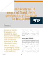 Web Axoncomunicacioncentroveterinario43cv 43 Necesidades Perra Gestacion Lactacion PDF